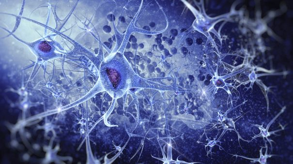 NeuraMetrix joins with bioaccess to market brain health tool in Latin America